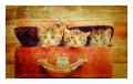 wycieraczka_Deco star_kociaki_01e.jpg