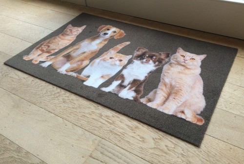 wycieraczka_Deco star_kumple_05c.jpg