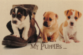 wycieraczka-do-butow-my-puppies-40cmx60cm-rzut2.png