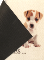 wycieraczka-do-butow-my-puppies-40cmx60cm-spod.png