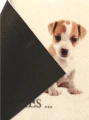 wycieraczka-do-butow-my-puppies-40cmx60cm-spod.png
