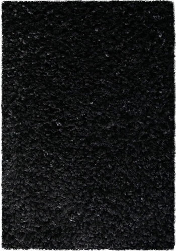 Dywan shaggy Best czarny 140 cm x 200 cm - Nowoczesne fasony do salonu i pokoju