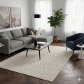dywan-nowoczesny-3d-helix-boho-kremowy-aranzacja-w-salonie-z-biala-sofa-na-ciemnej-podlodze-stolikiem-kawowym-krzeslem-w-tle-duze-okna.jpg