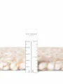dywan-jednolity-Notting-hill-ted-baker-kremowo-bezowy-grubosc-runa.png
