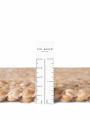 dywan-jednokolorowy-notting-hill-ted-baker-bezowy-grubosc-runa.png