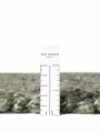 dywan-jednobarwny-notting-hill-ted-baker-ciemny-zielony-grubosc-runa.png
