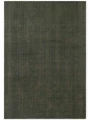 dywan-wełniany-greenwich-ted-baker-zielony-cały-dywan-na-białym-tle.jpg